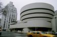 guggenheim/new york